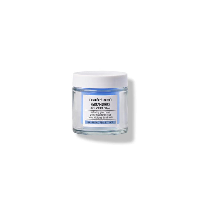 Hydramemory Rich Sorbet Cream